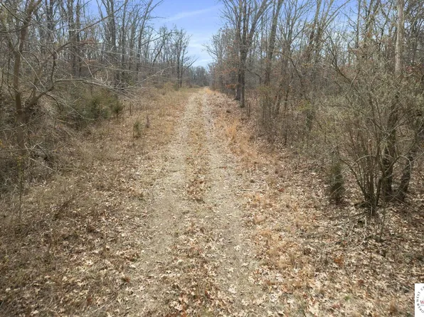 Highway Bb & Southeast Rd #900, Deepwater, MO 64740