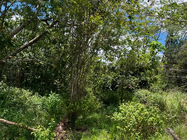 Huina Rd, Kurtistown, HI 96760