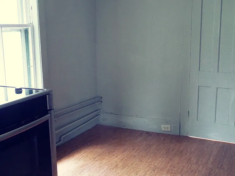 Kitchen. New cork flooring, Bosch glass top electric range, ample room for table.