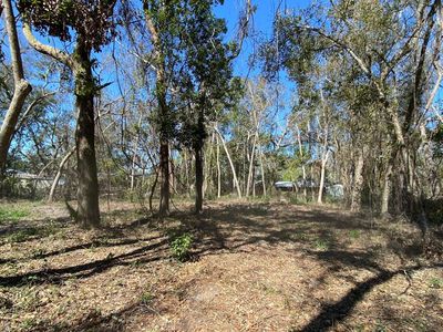 0 Jewett St, White Springs, FL, 32096