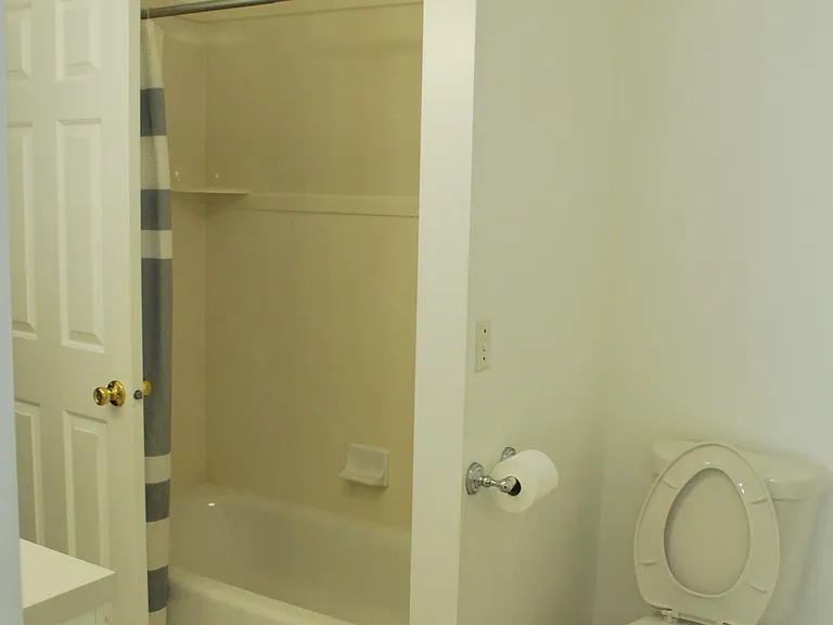 Master suite bathroom