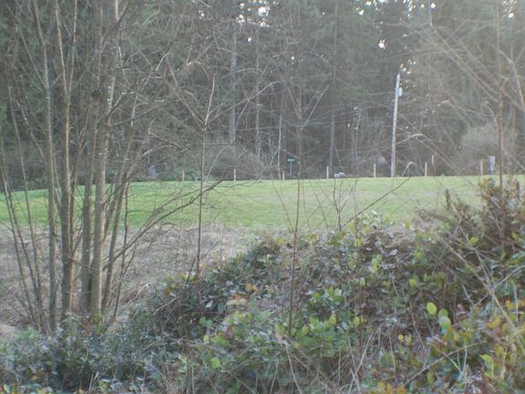 4th image of 9495 Gravelly Ln SW