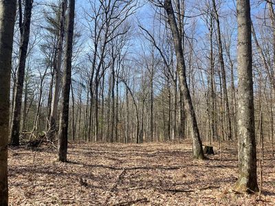 5243 S Basswood Dr, Newaygo, MI, 49337