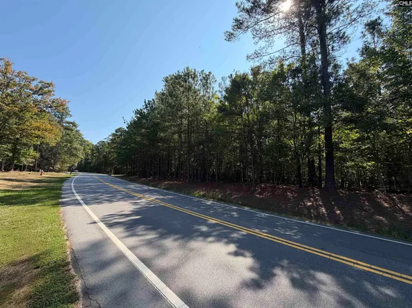 391 Murray Lindler Rd, Chapin, SC 29036