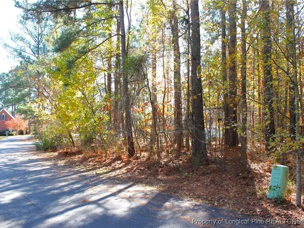 94 Meadow Spring Ln, Sanford, NC 27332