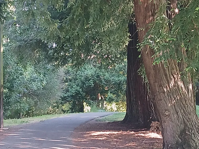 San Mateo Ct — Photo 12
