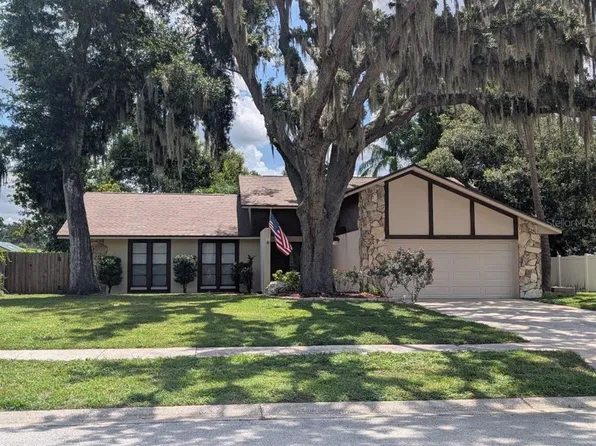1005 Tranquiview Ln, Valrico, FL 33594