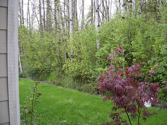 Listen to the birds sing