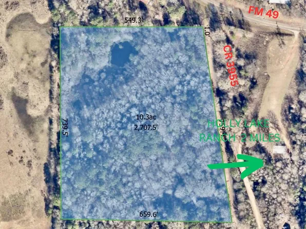 County Road 3955, Mineola, TX 75773