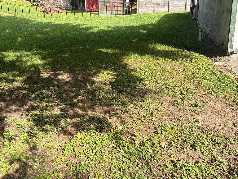 184 Newton Dr SE — Photo 20