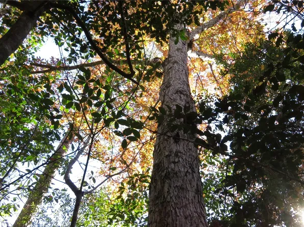 7282 Mustang Trl, Kountze, TX 77625