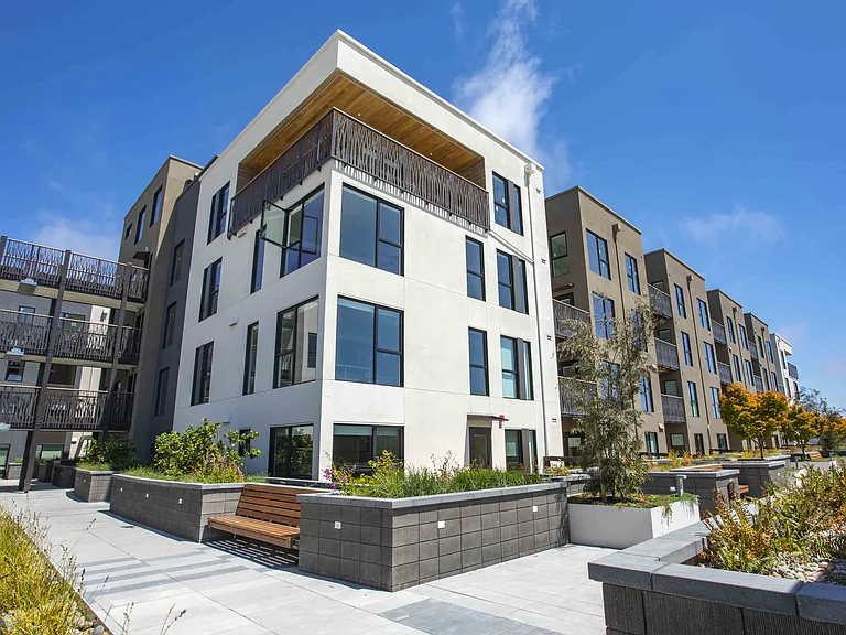 Jones Berkeley — Photo 6