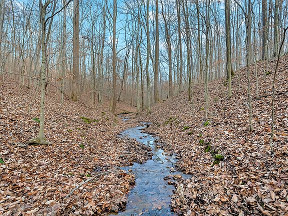 4th image of 0 Waddell Hollow Rd