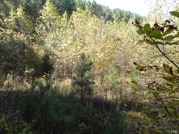 3 Leesville Rd Lot 3, Evington, VA 24550