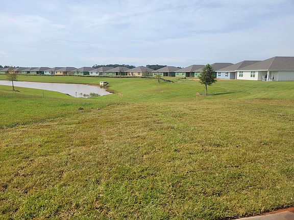 View from back porch