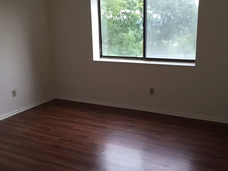 Chestnut Hill South — Photo 15