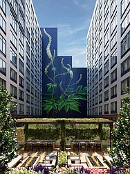 Rented by Douglas Elliman