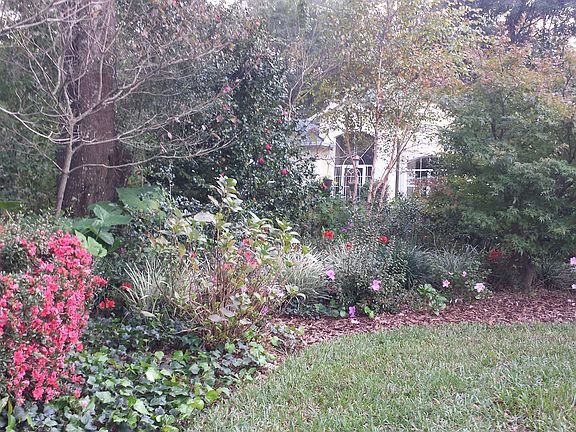 Florida-Friendly landscaping