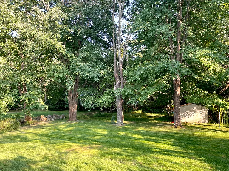 370 Wallis Rd — Photo 30