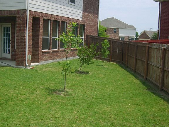 side backyard