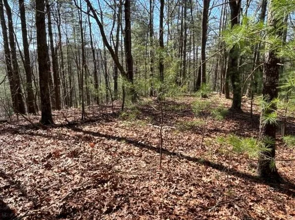 LOT 24 Pickett Mill Ln, Ellijay, GA 30540