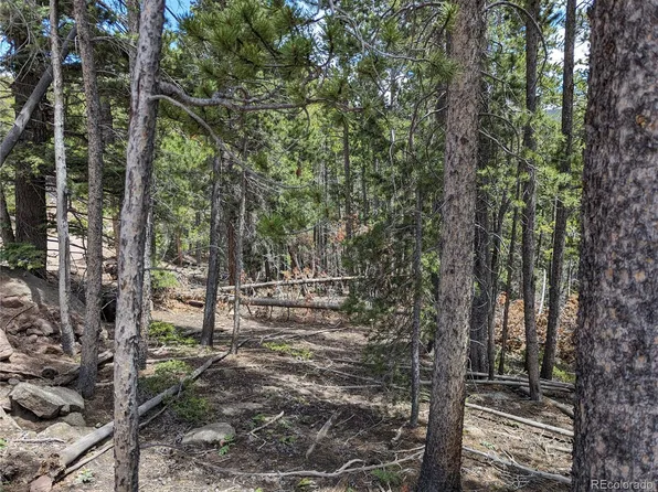 3159 Purnell Lane, Fort Garland, CO 81133