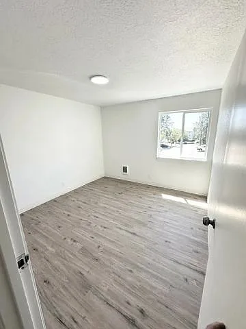 White Pine — Photo 35
