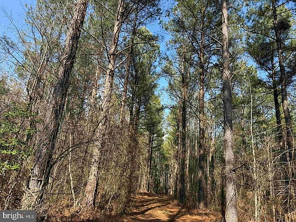 3rd image of Cedar Field Rd #Et2-2003