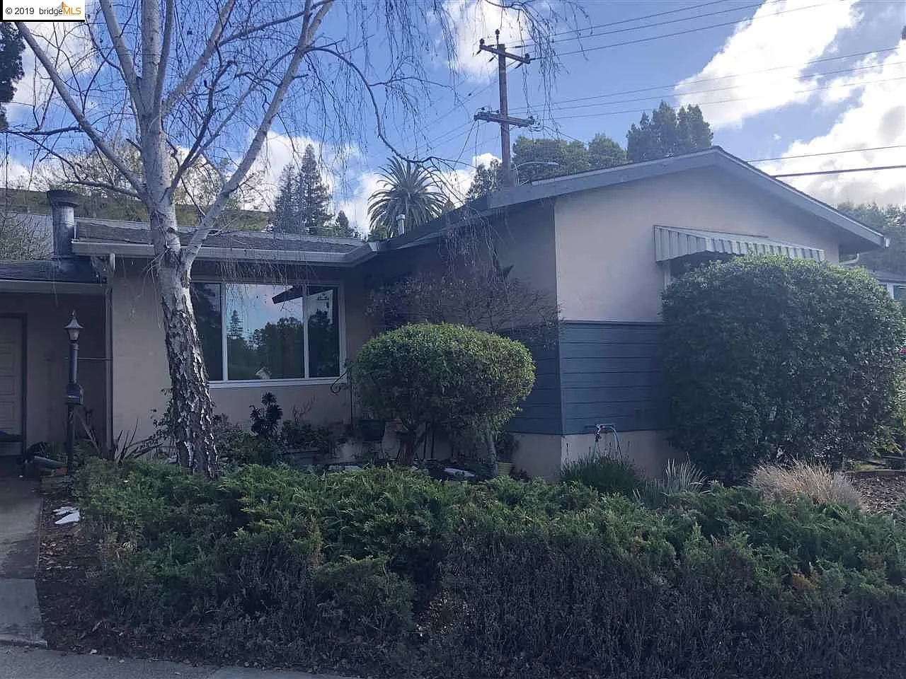 4648 Steele St photo 1