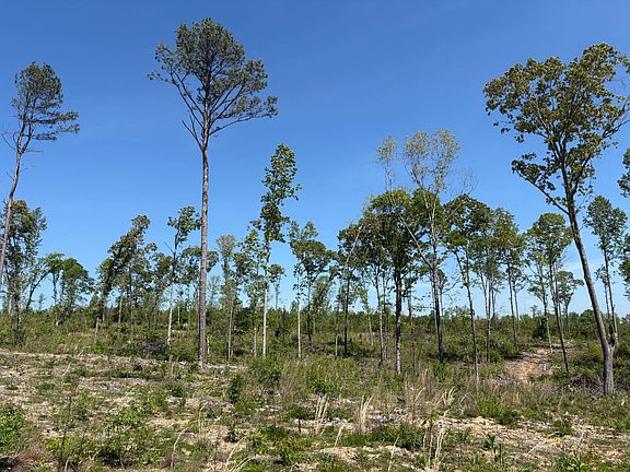 4th image of 205 County Road 794