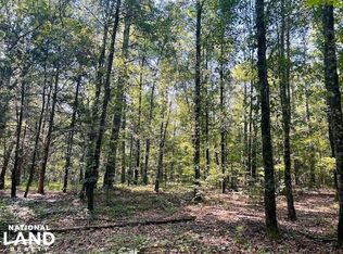 0 Hunter Rd, Ellaville, GA 31806