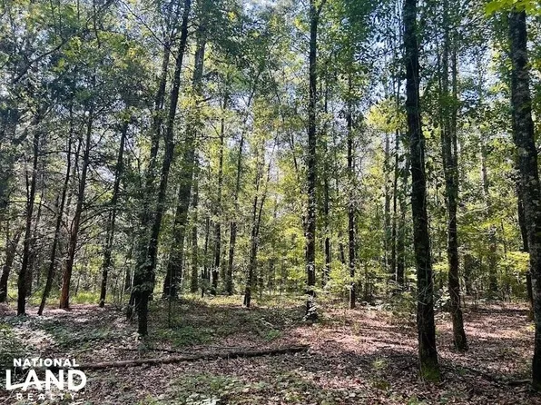 0 Hunter Rd, Ellaville, GA 31806