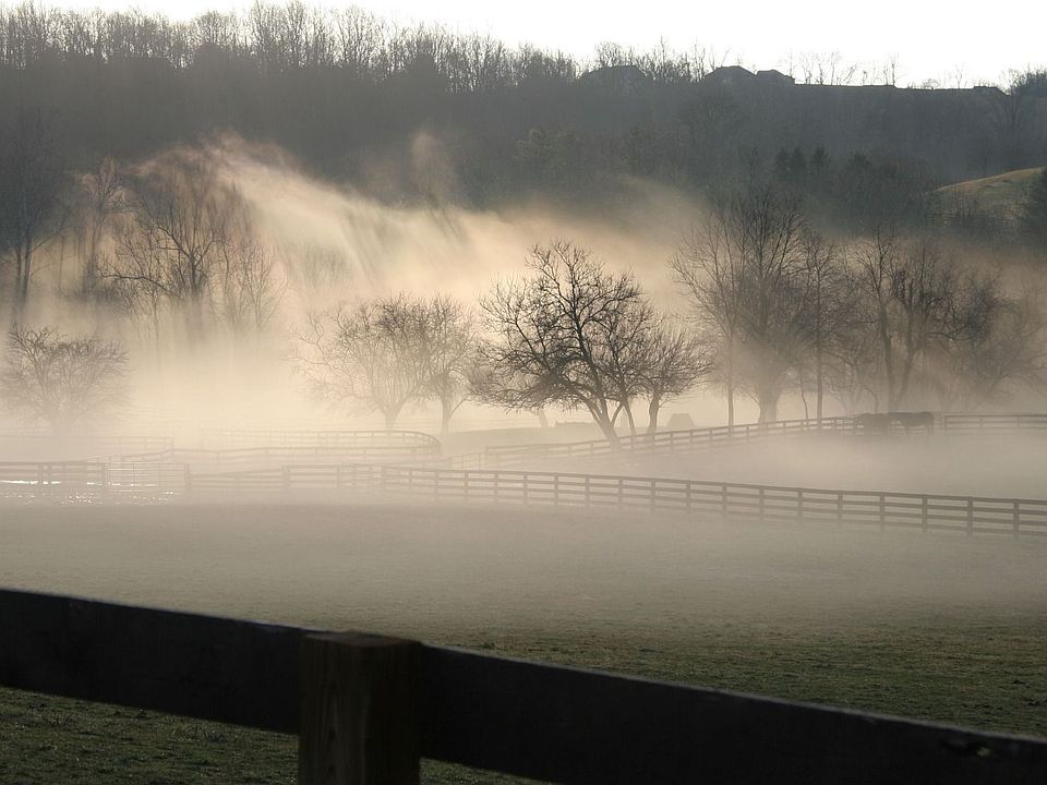 Spring Fog