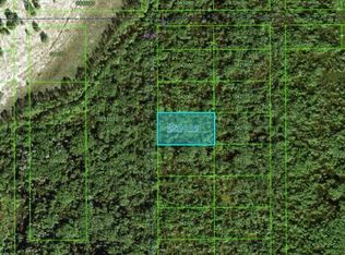 Commonwealth Ave N, Polk City, FL 33868