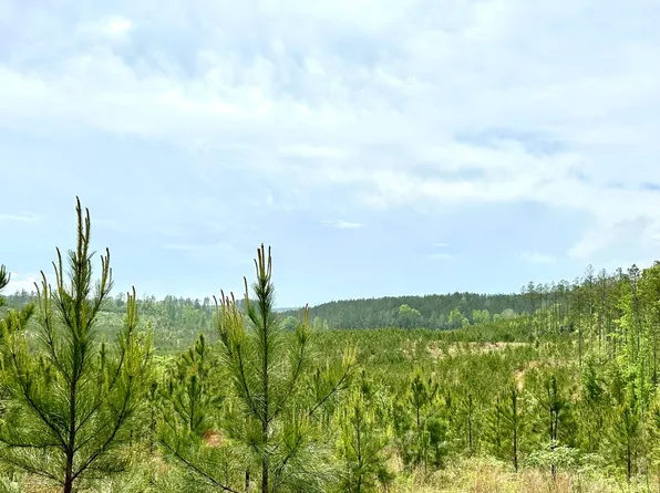 Payne Bottom Rd, Marion, AL 36756