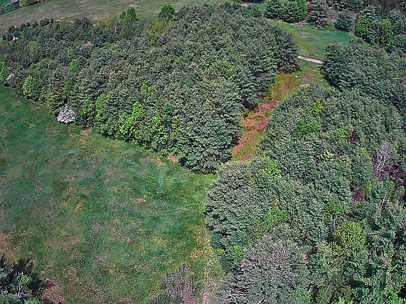 4th image of Lot 5 Wildflower Way