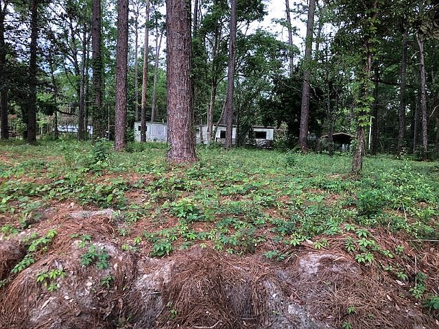 1st image of 10744 Old Pine Acres Trl