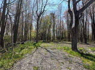 Vl State And White Rd, Geneva, OH 44041