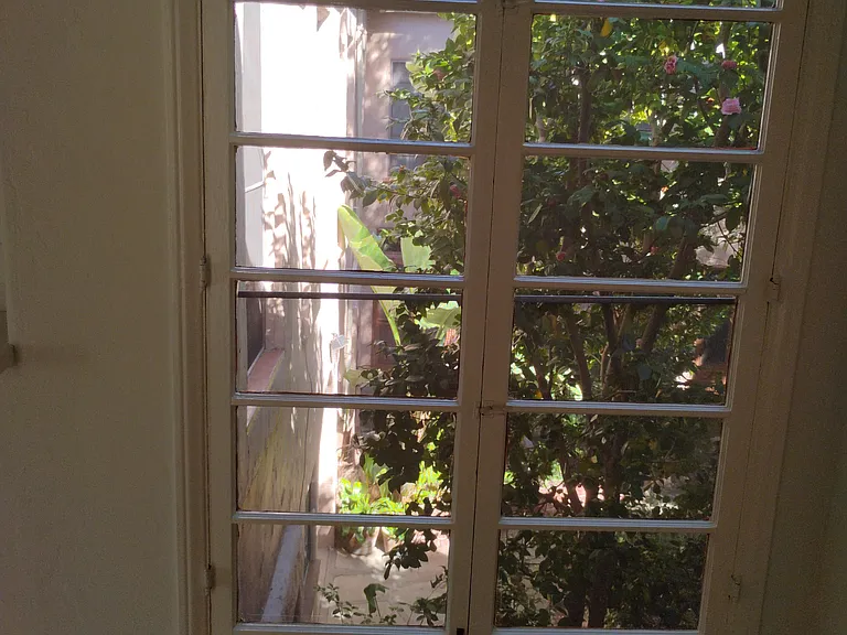 216 1/4 S Poinsettia Pl — Photo 18