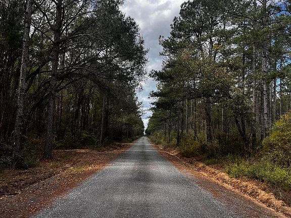 3rd image of Xx Cawthon Rd