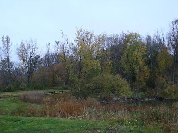2nd image of 1294 Victoria Ln