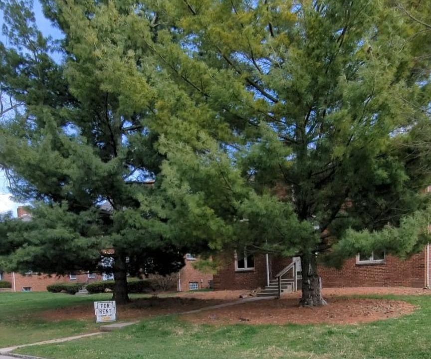 1st image of 1432 Elmwood Ave APT C