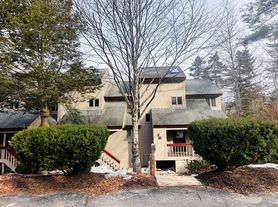 29 Mountain Brook Way, Waterville Valley, NH