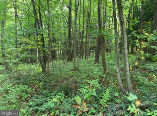 17 Sale Barn Rd, Accident, MD 21520