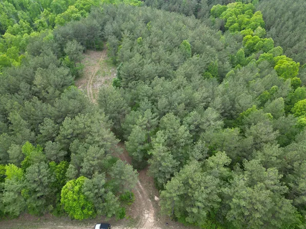 0 Ary Cemetery Rd, Linden, TN 37096