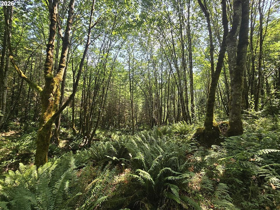 1st image of Tide Creek Rd