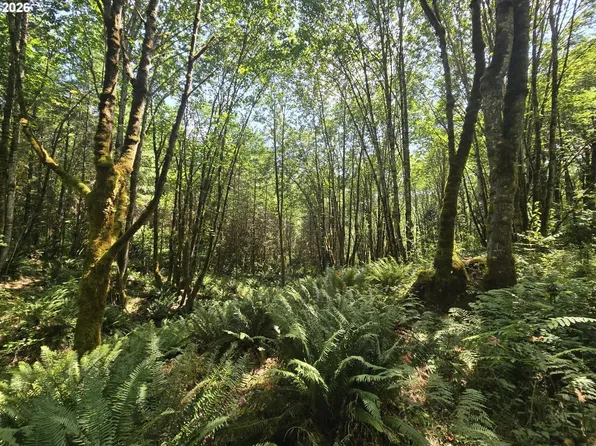 Tide Creek Rd, Rainier, OR 97048