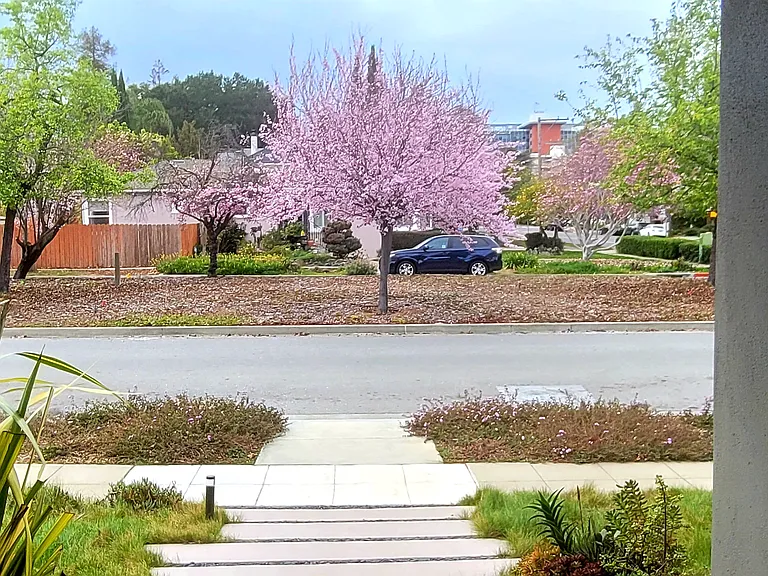 View from Front Door