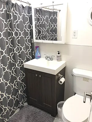 Rented by Alpha Properties NYC I LLC | media 65