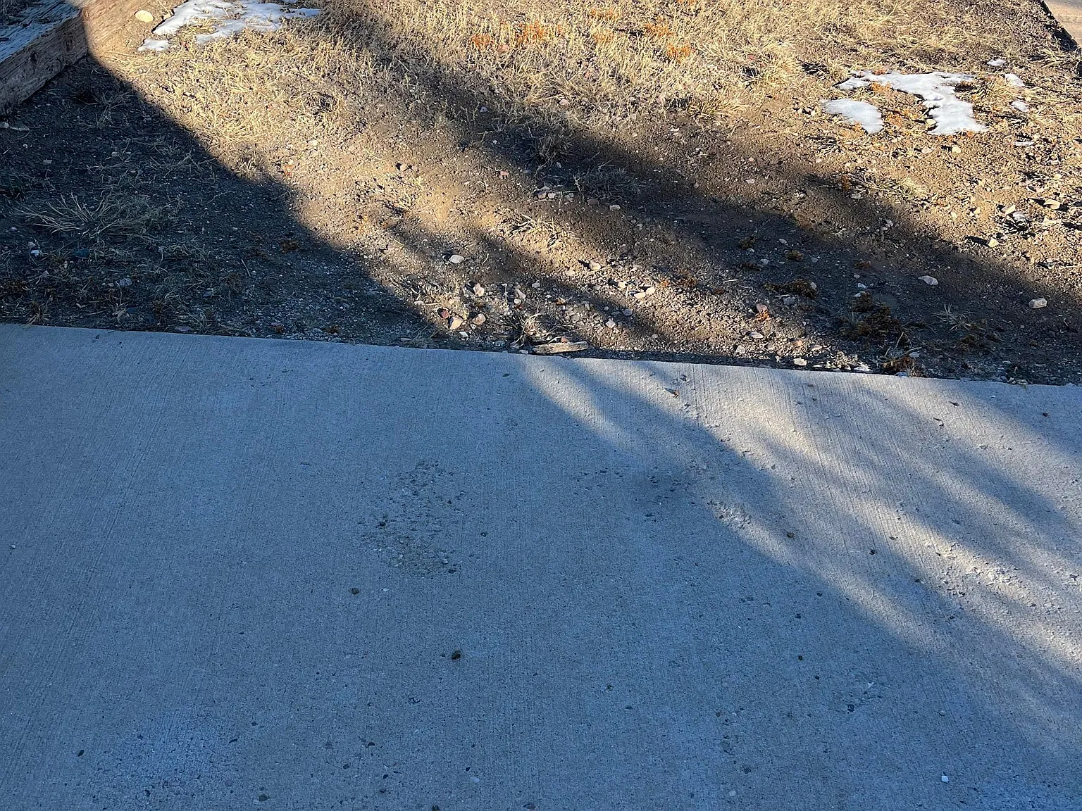 7604 Ridge Road - 1 — Photo 3